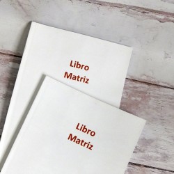 LIBRO MATRIZ