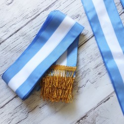 BANDA ARGENTINA PROMESA A LA BANDERA PREMIUM