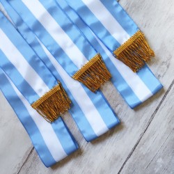 BANDA ARGENTINA PROMESA A LA BANDERA PREMIUM