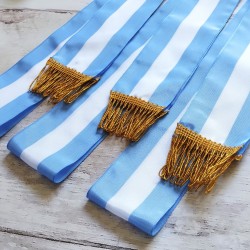 BANDA ARGENTINA PROMESA A LA BANDERA PREMIUM