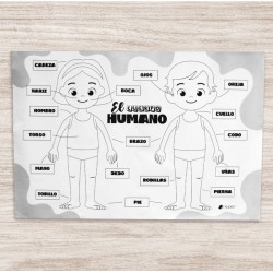 CAJA DE 5 LAMINAS GIGANTE PARA COLOREAR