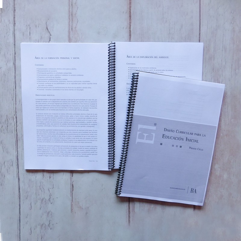 Libro Diseño Curricular Nivel Maternal Prov Bs As
