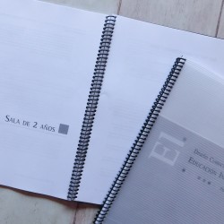 Libro Diseño Curricular Nivel Maternal Prov Bs As