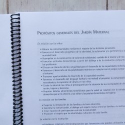 Libro Diseño Curricular Nivel Maternal Prov Bs As